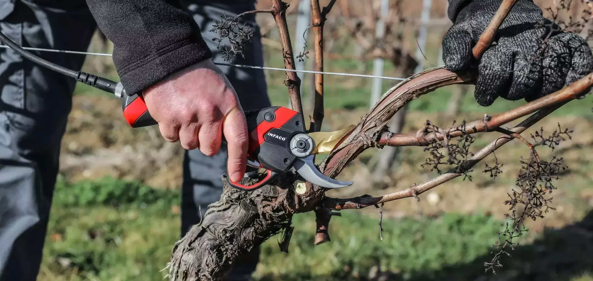 VITIMAG − Entreprise de vente, entretien et réparation de matériel viticole et vinicole dans l’Yonne